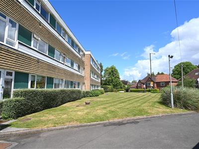Picture 16